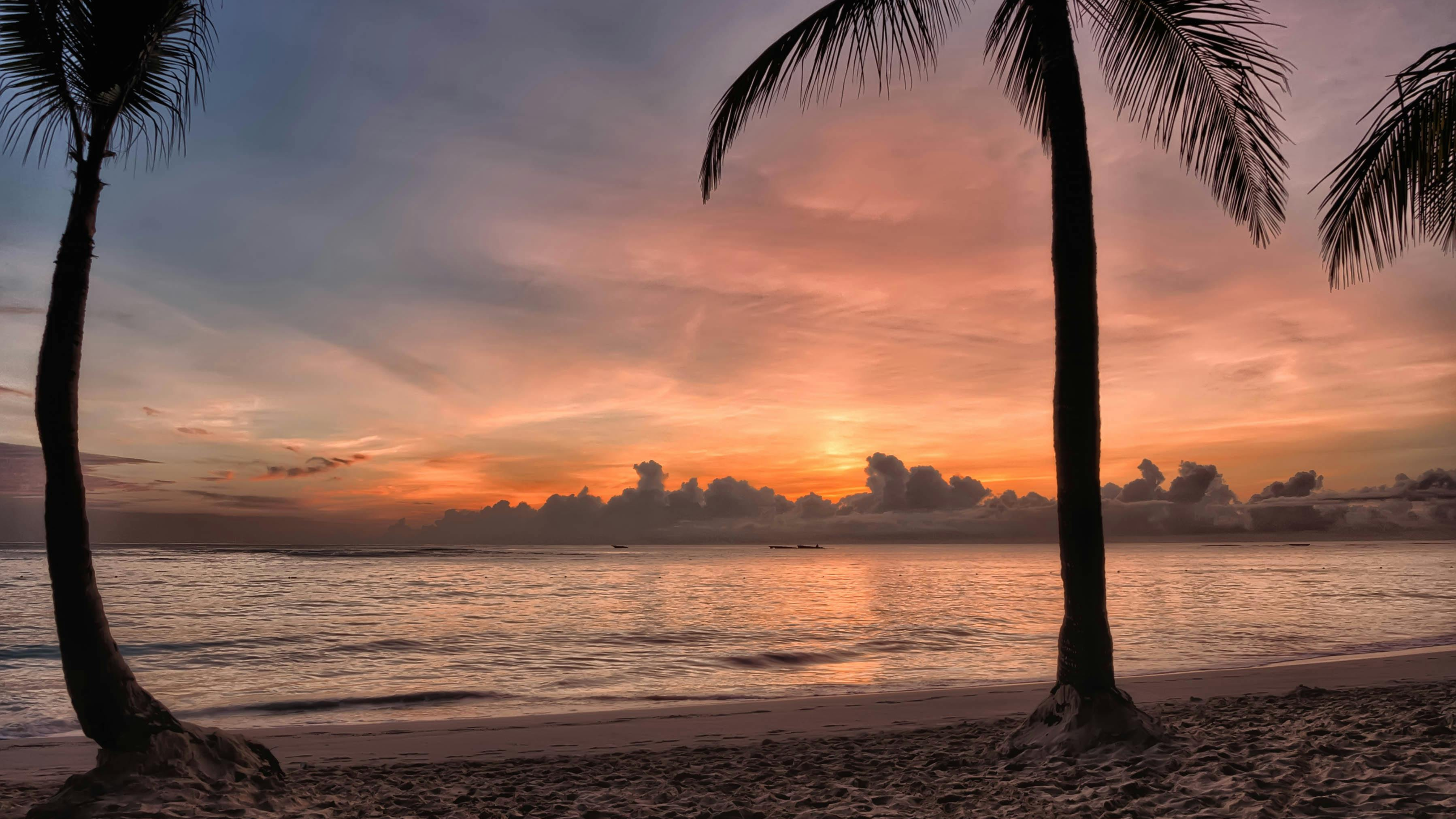 Reunión de negocios para aliados Waoo